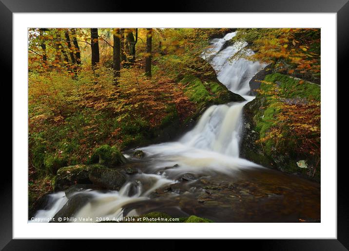 Autumn's Glory at Elan Valley Framed Mounted Print by Philip Veale