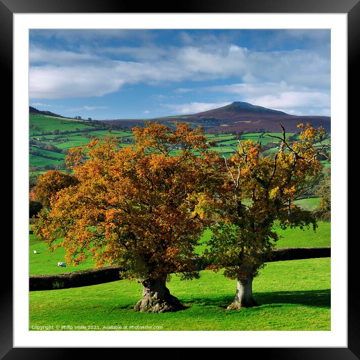Sugar Loaf Mountain Autumn Splendour. Framed Mounted Print by Philip Veale