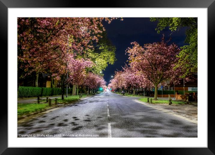Blooming Blossoms in Preston Framed Mounted Print by Shafiq Khan