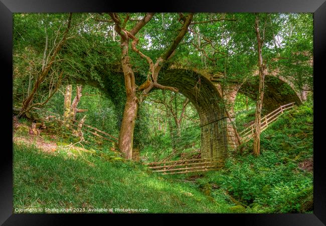 Abandoned Viaduct at Hoghton Bottoms, Preston, Lancashire, UK (Nature Taking Over) Framed Print by Shafiq Khan