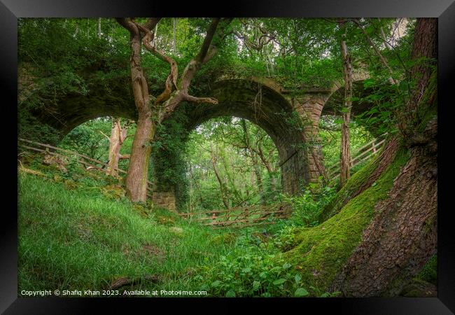 Abandoned Viaduct at Hoghton Bottoms, Preston, Lancashire, UK (Nature Taking Over) Framed Print by Shafiq Khan