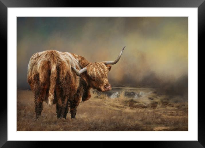 Highland Cattle Framed Mounted Print by Chantal Cooper