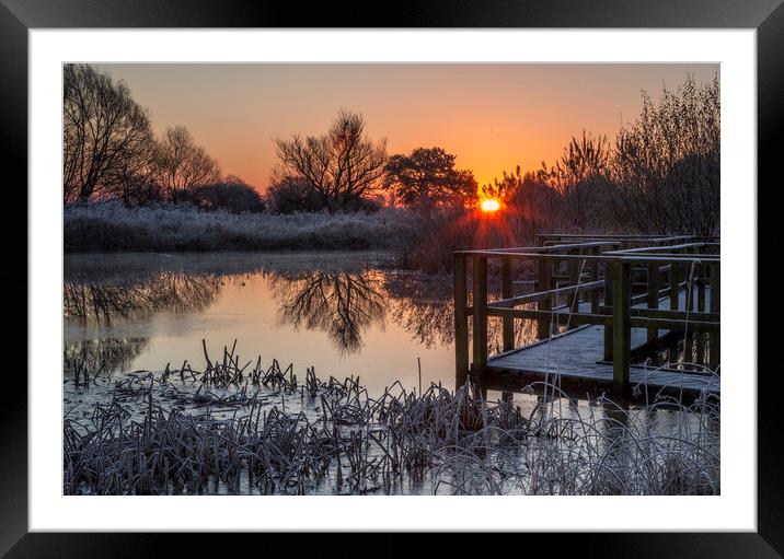 Sunrise over the pond Framed Mounted Print by Chantal Cooper