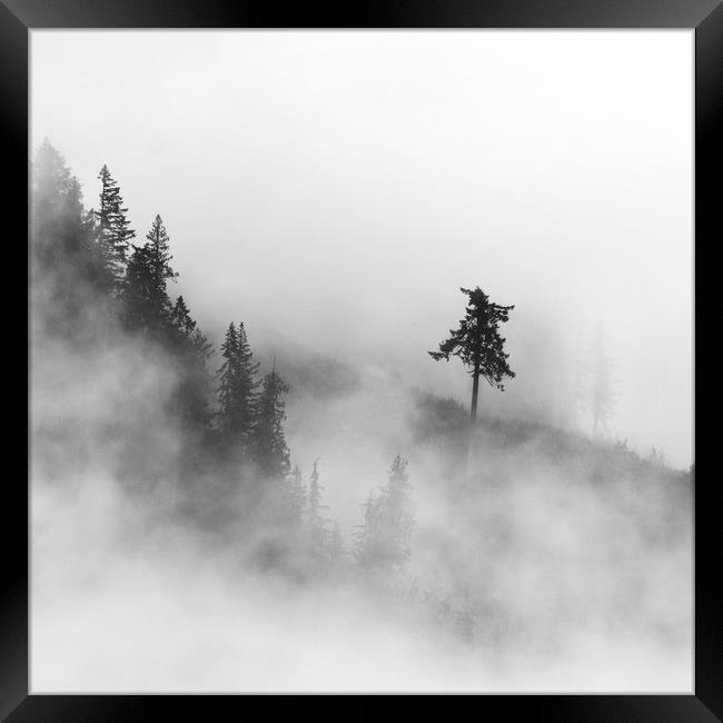 Mist on the Mountain Framed Print by Chantal Cooper