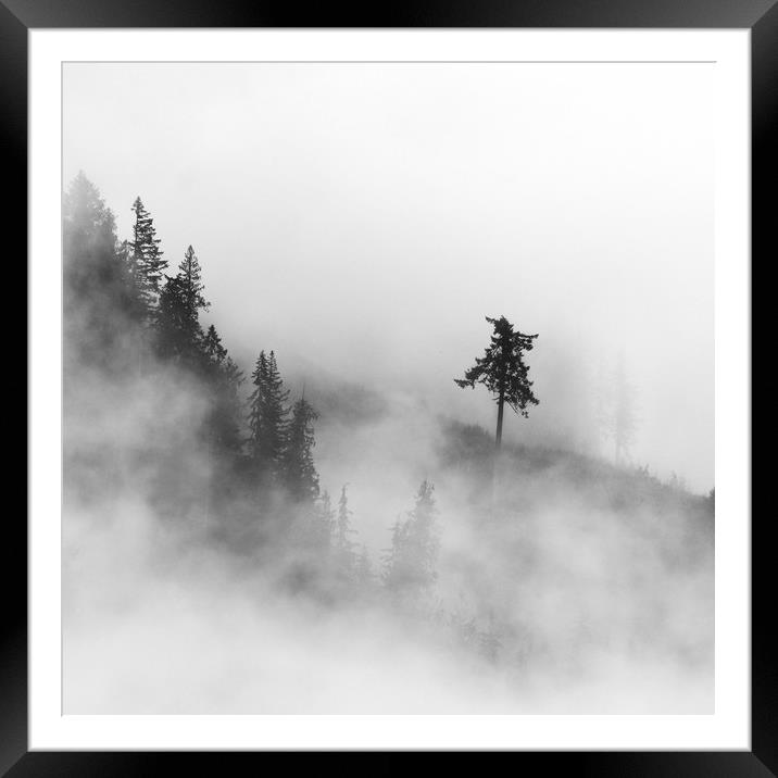 Mist on the Mountain Framed Mounted Print by Chantal Cooper