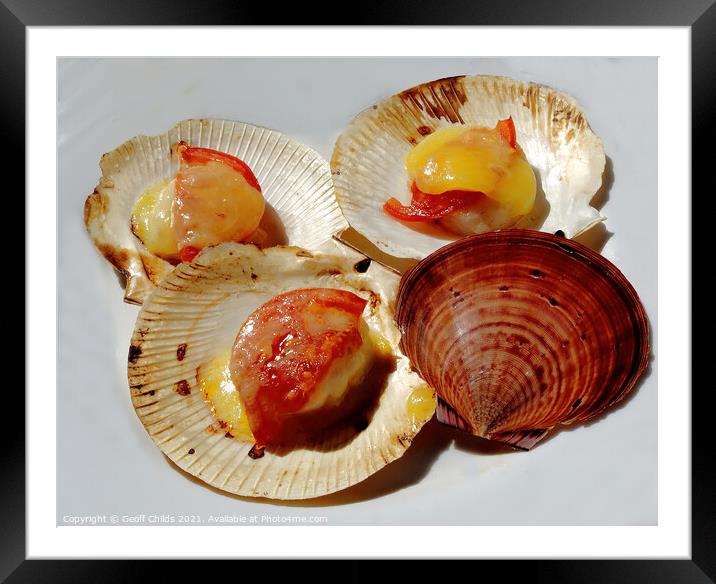 Succulent Grilled Scallops in their shells.   Framed Mounted Print by Geoff Childs