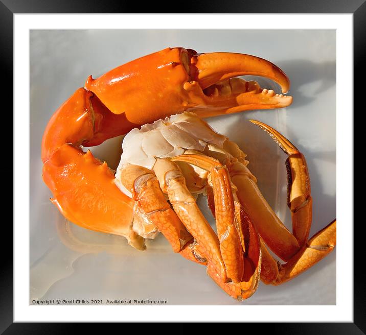 Giant Mud Crab nipper closeup Cleaned then Cooked. Framed Mounted Print by Geoff Childs