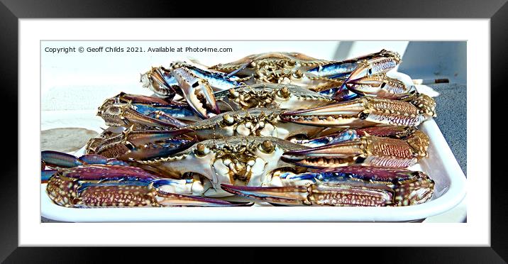 Live Blue SWimmer Crab. Ready for the cooking pot. Framed Mounted Print by Geoff Childs