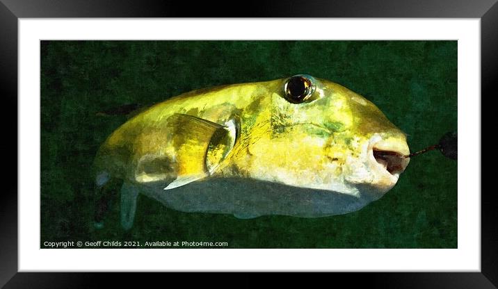 Green Toad Fish . Colourful abstract wall art image. Framed Mounted Print by Geoff Childs