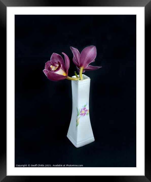  Pretty pink Cymbidium Orchid in a Vase on black. Framed Mounted Print by Geoff Childs