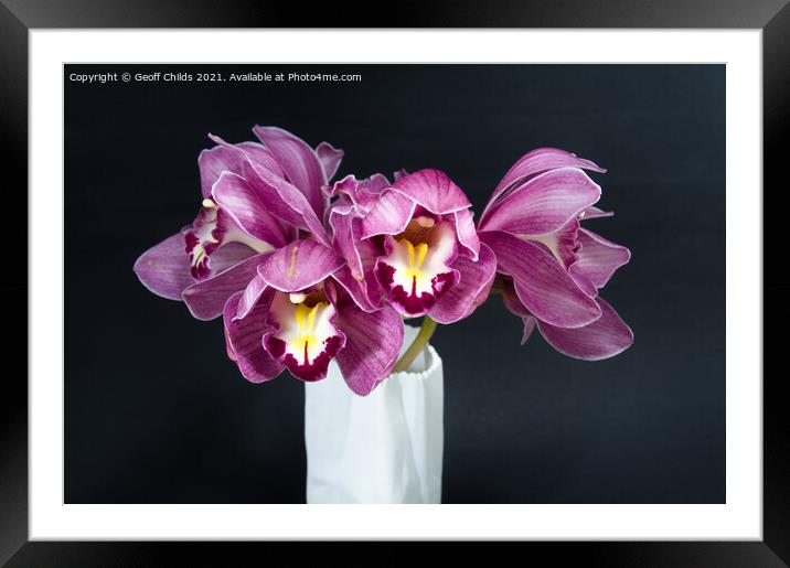  Pretty purple Cymbidium Orchid in a Vase on black Framed Mounted Print by Geoff Childs