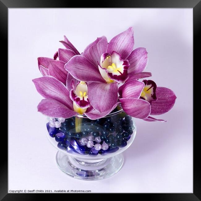  Pretty pink Cymbidium Orchid in a Vase on White Framed Print by Geoff Childs