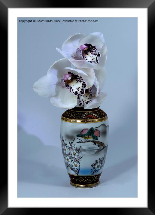  White Cymbidium Orchids (Boat Orchids) closeup in Framed Mounted Print by Geoff Childs