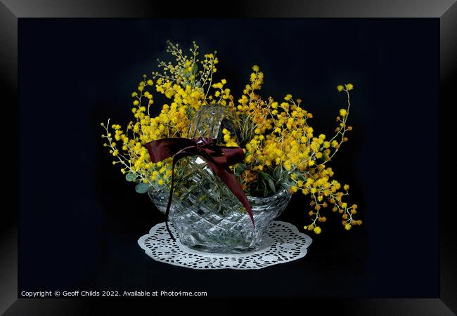 Wattle blossoms in a crystal glass basket vase on black. Wattle  Framed Print by Geoff Childs