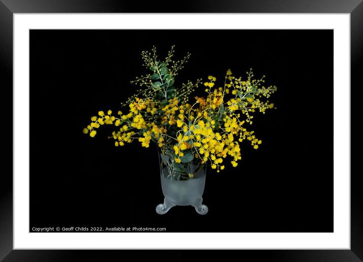Wattle blossoms in a white and clear glass vase on black. Wattle Framed Mounted Print by Geoff Childs