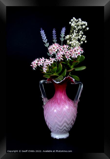 Lavender and Jade Plant in a vase isolated on blac Framed Print by Geoff Childs