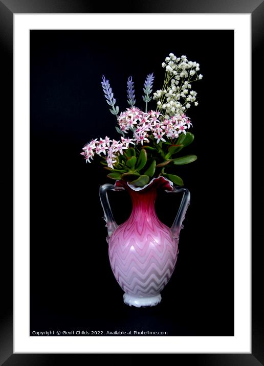 Lavender and Jade Plant in a vase isolated on blac Framed Mounted Print by Geoff Childs