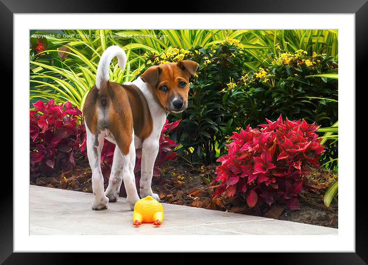 Children's Nursery wall art - Adorable puppy dog in a garden. Framed Mounted Print by Geoff Childs