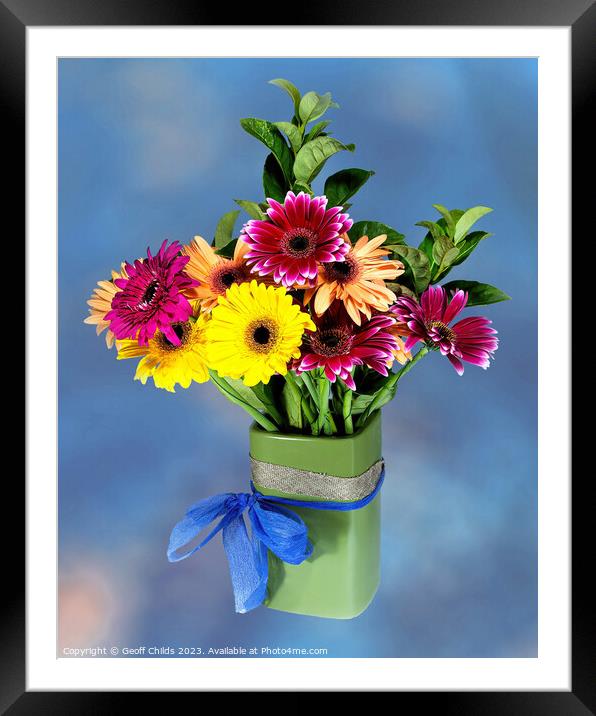 Pretty Gerbera Daisy (viridifolia;) flowers in a green ceramic Vase. Framed Mounted Print by Geoff Childs