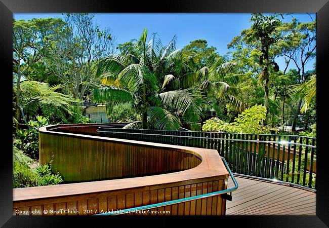 Tropical trees nature walkway. Framed Print by Geoff Childs