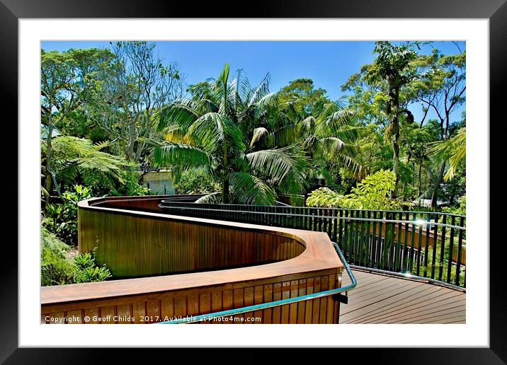 Tropical trees nature walkway. Framed Mounted Print by Geoff Childs