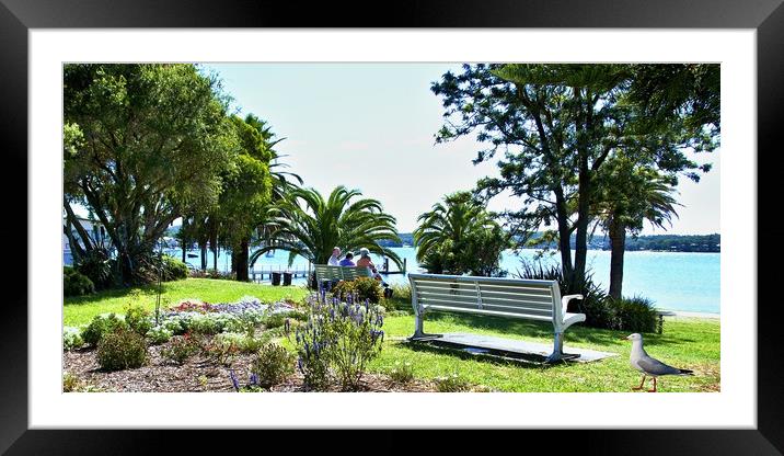 Park landscape waterscape scene. Framed Mounted Print by Geoff Childs