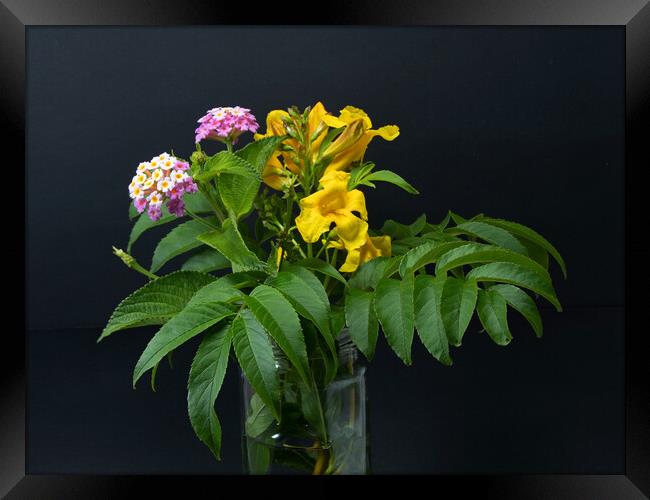 Lantana and yellow Trumpet flowers. Framed Print by Geoff Childs