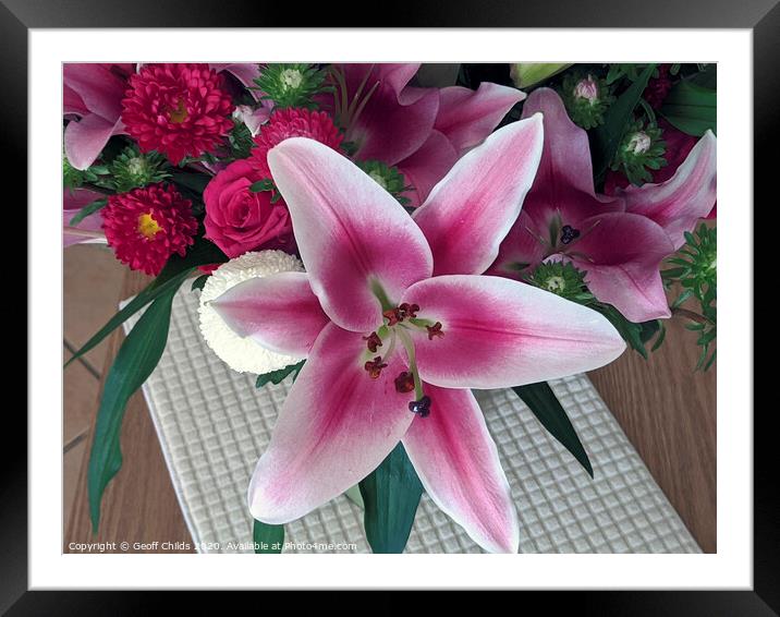 Oriental Trumpet Lily closeup. Framed Mounted Print by Geoff Childs