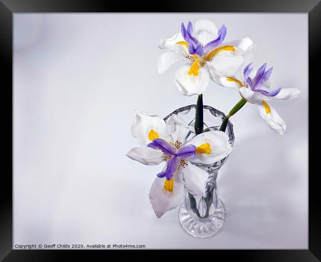 Wild Iris in glass vase. Framed Print by Geoff Childs