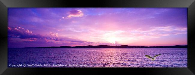 Lavender Ocean Sunset with Seagull. Framed Print by Geoff Childs