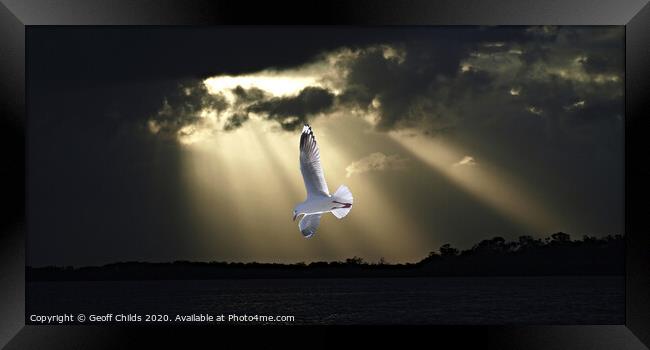 Seagull and Sunbeams in Ocean Sunset. Framed Print by Geoff Childs