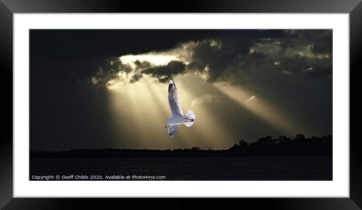Seagull and Sunbeams in Ocean Sunset. Framed Mounted Print by Geoff Childs