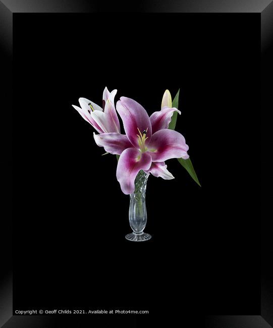  Pretty purple Lily in a Vase.  Framed Print by Geoff Childs
