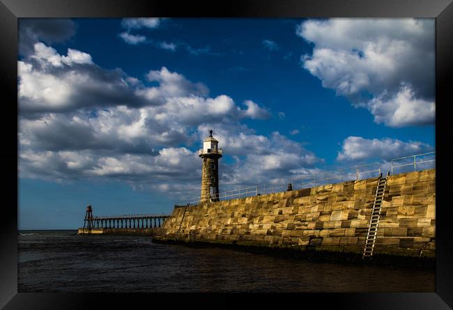 Going out to sea Framed Print by Joanna Pinder