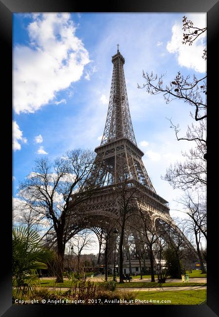 Eiffel Tower, Paris Framed Print by Angela Bragato