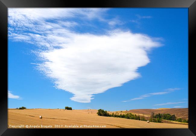 Tuscany landscape in summer Framed Print by Angela Bragato