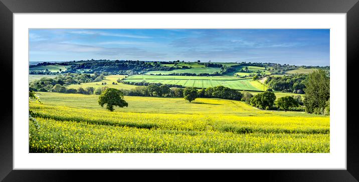 A Rapeseed panorama. Framed Mounted Print by Chris North