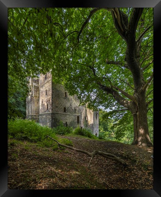 Harewood Castle. Framed Print by Chris North