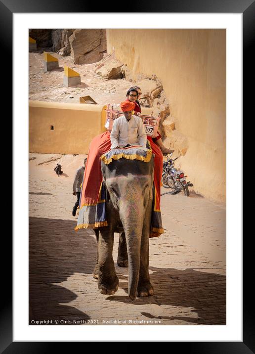 Elephant taxi at the Amber Fort, Rajasthan, India. Framed Mounted Print by Chris North