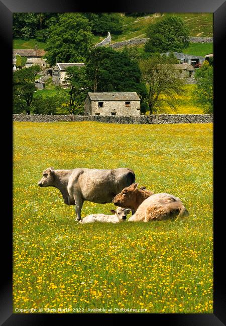Swaledale in North Yorkshire Framed Print by Chris North