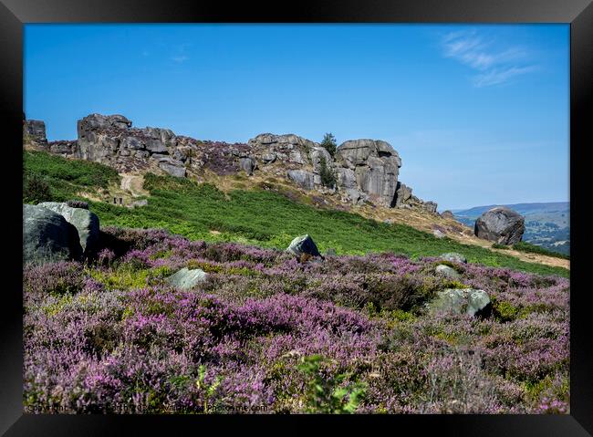 Ilkley Moor in summer Heather Framed Print by Chris North
