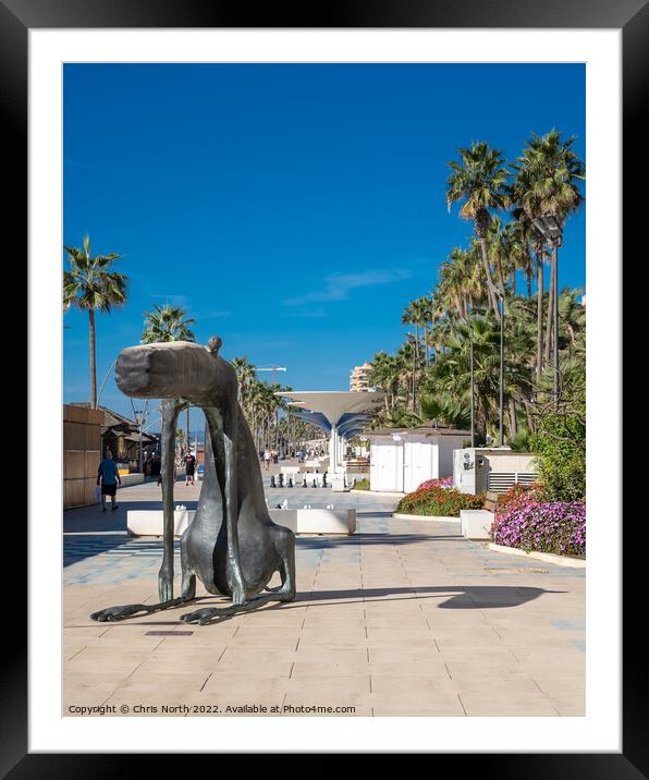 Statue to an abstract dog, Estepona Spain. Framed Mounted Print by Chris North