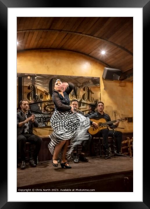 Flamenco passion. Framed Mounted Print by Chris North