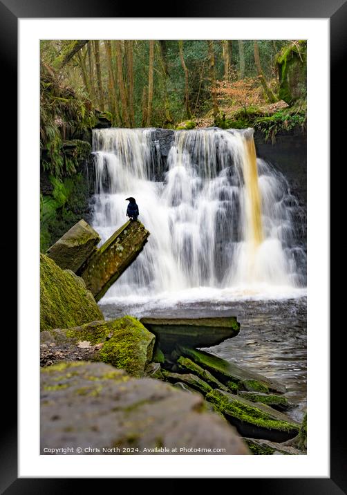 A convenient perch at Goitstock Waterfall Framed Mounted Print by Chris North