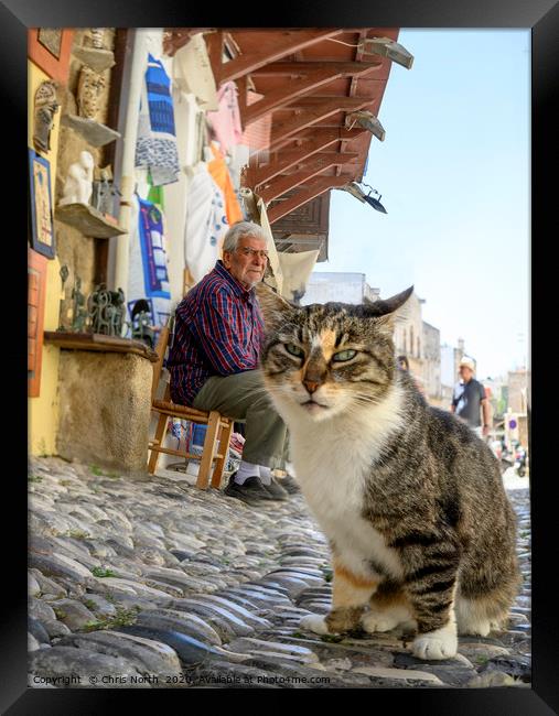 Cat and shop keeper, Rhodes. Framed Print by Chris North