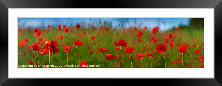 A meadow of poppies. Framed Mounted Print by Chris North