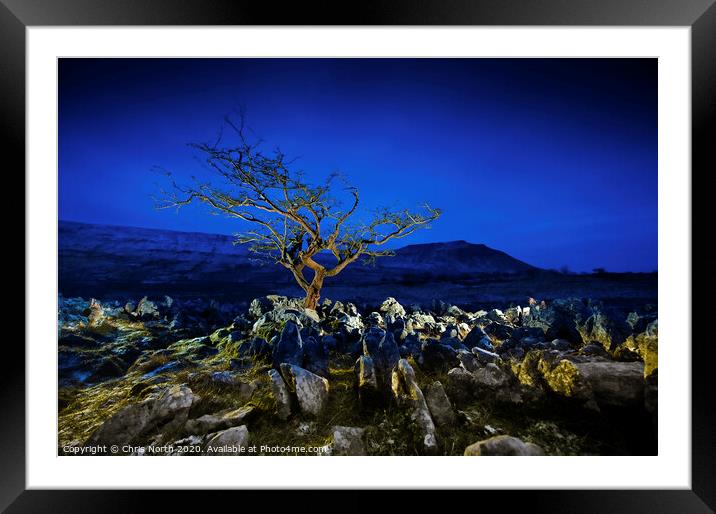 Tree and limestone pavement. Framed Mounted Print by Chris North