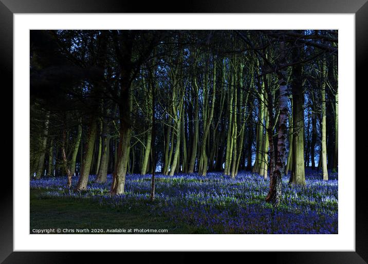 Bluebells of Bolton Abbey woods Framed Mounted Print by Chris North
