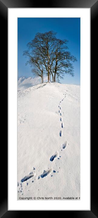 Footsteps to snowy trees at Stoirths. Framed Mounted Print by Chris North