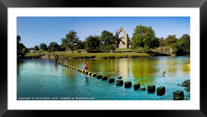 The stepping stones at Bolton Abbey, Yorkshire. Framed Mounted Print by Chris North